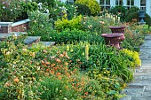 HAZELBY HOUSE, BERKSHIRE: SUMMER, BORDERS, PERNNIALS, CONTAINERS, GEUMS, ROSES, LUPINS, ALCHEMILLA MOLLIS