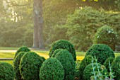MORTON HALL, WORCESTERSHIRE: DAWN, SUNRISE - LIGHT ON CLIPPED TOPIARY BOX CONES AND BALLS. CLOUD, GREEN, SUMMER, ENGLISH, GARDEN, CLASSIC