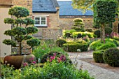 THE OLD RECTORY, QUINTON, NORTHAMPTONSHIRE: DESIGNER ANOUSHKA FEILER: FRONT GARDEN - CLIPPED TOPIARY CLOUD PRUNED CARPINUS BETULUS IN CONTAINERS, HORNBEAM, FOLIAGE, GREEN