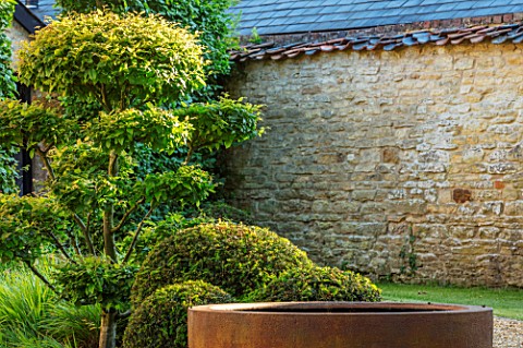 THE_OLD_RECTORY_QUINTON_NORTHAMPTONSHIRE_DESIGNER_ANOUSHKA_FEILER_FRONT_GARDEN__CLIPPED_TOPIARY_YEW_