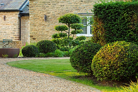 THE_OLD_RECTORY_QUINTON_NORTHAMPTONSHIRE_DESIGNER_ANOUSHKA_FEILER_GRAVEL_PATH_YEW_TOPIARY_BALLS_CLOU
