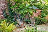 THE OLD RECTORY, QUINTON, NORTHAMPTONSHIRE: DESIGNER ANOUSHKA FEILER: PATIO WITH ADIRONDACK CHAIRS, SEATS, ZELKOVA, SCHIZOPHRAGMA HYDRANGEOIDES MOONLIGHT. LEAVES, GREEN