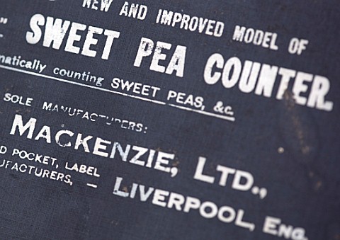 ROGER_PARSONS_SWEET_PEAS_WEST_SUSSEX_OLD_METAL_SWEET_PEA_COUNTER_BOX
