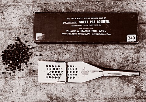 ROGER_PARSONS_SWEET_PEAS_WEST_SUSSEX_BLACK_AND_WHITE_IMAGE_OF_SEEDS_METAL_SWEET_PEA_COUNTER_AND_SWEE