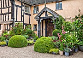 WOLLERTON OLD HALL, SHROPSHIRE: PINK PAINTED HOUSE, HALL FRONT, GRAVEL, DRIVE, CONTAINERS, LILIES, CLIPPED, TOPIARY, BOX, HALF, BARREL, FRONT DOOR, ENTRANCE. POTS