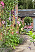 WOLLERTON OLD HALL, SHROPSHIRE: HOLLYHOCKS GROWING BESIDE THE HALL WALL. BRICK, PERENNIALS, PINK, APRICOT, WINDOW
