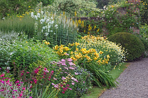 WOLLERTON_OLD_HALL_SHROPSHIRE_THE_MAIN_HERBACEOUS_BORDER_GRAVEL_PATH_ACHILLEA_LIGULARIA_THE_ROCKET_H