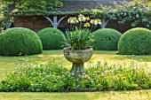 WOLLERTON OLD HALL, SHROPSHIRE: THE FONT GARDEN IN SUMMER. CLOSISTERS, STONE FONT CONTAINER WITH WHITE AGAPANTHUS. CLIPPED, BOX, TOPIARY, HEDGES, HEDGING, GREEN. OAK, LOGGIA