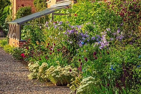MORTON_HALL_WORCESTERSHIRE_THE_KITCHEN_GARDEN_JULY_HERBACEOUS_BORDER_SUNSET_WALLED_GREENHOUSE_GRAVEL