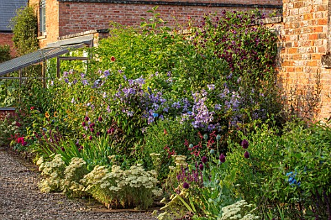 MORTON_HALL_WORCESTERSHIRE_THE_KITCHEN_GARDEN_JULY_HERBACEOUS_BORDER_SUNSET_WALLED_GREENHOUSE_GRAVEL