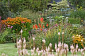 THE SALUTATION GARDEN, KENT: BORDER BY LAWN IN LATE SUMMER WITH RED HOT POKERS, KNIPHOFIA