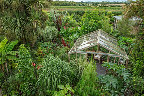 SWEETBRIAR_KENT_VIEW_OVER_BACK_GARDEN_WITH_GREENHOUSE_LARGE_LEAVED_PLANTS_TROPICAL_JUNGLE_EXOTIC_SMA