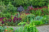 MORTON HALL GARDENS, WORCESTERSHIRE: KITCHEN GARDEN IN LATE SUMMER. BEDS WITH AMARANTHUS, TITHONIA. WALL, WALLED, COUNTRY, HOUSE, CLASSIC, VEGETABLE, DARK, RED, DAHLIAS