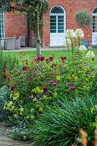 MORTON_HALL_WORCESTERSHIRE_SOUTH_GARDEN_BORER_NICOTIANA_LIME_GREEN_CLEOME_SPINOSA_WHITE_QUEEN_ROSA_M