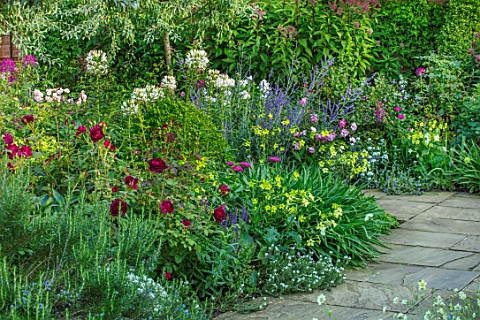 MORTON_HALL_WORCESTERSHIRE_SOUTH_GARDEN_BORER_NICOTIANA_LIME_GREEN_CLEOME_SPINOSA_WHITE_QUEEN_ROSA_M