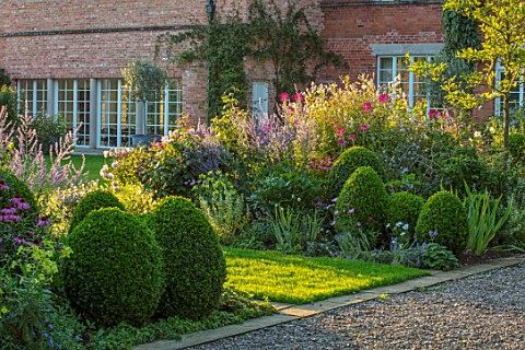MORTON_HALL_WORCESTERSHIRE_SOUTH_GARDEN_BORDER_LAWN_CLIPPED_BOX_CLEOME_SPINOSA_VIOLET_QUEEN_PEROVSKI