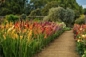 PARHAM, SUSSEX: PATH IN WALLED GARDEN WITH PARHAM HOUSE, DAHLIAS AND GLADIOLI IN THE CUTTING GARDEN. FLOWERS, BLOOMING, SUMMER