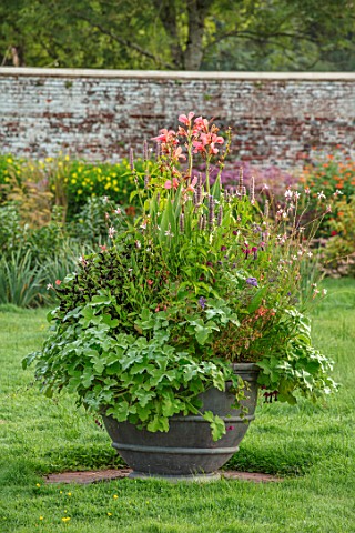 PARHAM_SUSSEX_CONTAINER_IN_WALLED_GARDEN_PLANTED_WITH_CANNA_EREBUS_GAURA_WHIRLING_BUTTERFLIES_PELARG