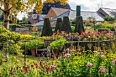 PETTIFERS, OXFORDSHIRE: THE PARTERRE IN AUTUMN. BETULA ERMANII, BOX HEDGING, DAHLIAS. FALL, FOLIAGE, FORMAL, ENGLISH, COUNTRY, GARDEN, YEW, TAXUS, WOODEN, SEAT, BENCH