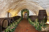 LEEDS CASTLE, KENT: CELLAR, FLORAL DESIGNER JO MOODY OF MOODY BLOOMS, ARCHWAY WITH WHITE FRAGRANT ROSE, ROSA OHARA