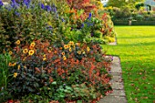 BOURTON HOUSE GARDEN, GLOUCESTERSHIRE: LAWN, BORDER WITH  DAHLIA MOONFIRE, ACONITUMS, AUTUMN, FALL, SEPTEMBER, ENGLISH, HERBACEOUS, LATE, SUMMER, CLASSIC, ENGLISH