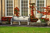 BOURTON HOUSE GARDEN, GLOUCESTERSHIRE: LAWN, HOUSE, STONE , AUTUMN, FALL, SEPTEMBER, ENGLISH, LATE, SUMMER, TRAINED PYRACANTHA ON WALL, URNS, CONTAINERS, PARROTIA PERSICA