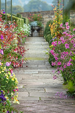 BOURTON_HOUSE_GARDEN_GLOUCESTERSHIRE_PATH_JAPANESE_ANEMONES_CONTAINERS_AGAINST_WALL_PLANTED_WITH_EXO