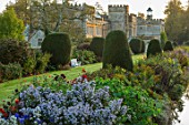 FORDE ABBEY, SOMERSET: VIEW OF THE LONG BORDER IN OCTOBER WITH ASTER X FRIKARTII MONCH. CLIPPED, YEW, TOPIARY, AUTUMN, ENGLISH, COUNTRY, GARDEN, ASTER, MICHAELMAS DAISIES, WHITE, BENCH, SEAT, LAWN