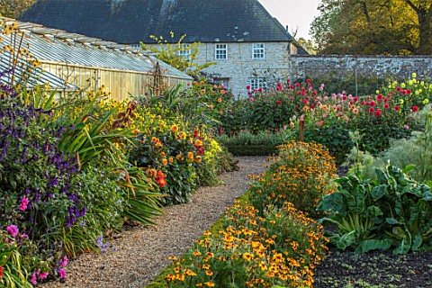 FORDE_ABBEY_SOMERSET_THE_VEGETABLE_GARDEN_POTAGER_GRAVEL_PATH_BY_GREENHOUSE_BORDER_WITH_SALVIA_ARMIS