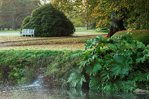 FORDE_ABBEY_SOMERSET_VIEW_ACROSS_LONG_POND_WITH_WATERFALL_GUNNERA_MANICATA_WHITE_WOODEN_BENCH_SEAT_O