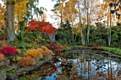 MORTON HALL, WORCESTERSHIRE: AUTUMN, FALL: STROLL GARDEN, LOWER POND, POOL, WATER, REFLECTED, REFLECTIONS, HAKONECHLOA MACRA, ACER PALMATUM SEIRYU, MAPLES, JAPANESE, BIRCHES