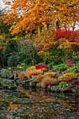 MORTON HALL, WORCESTERSHIRE: AUTUMN, FALL: STROLL GARDEN, LOWER POND, POOL, WATER, REFLECTED, REFLECTIONS, HAKONECHLOA MACRA, ACER PALMATUM SEIRYU, MAPLES