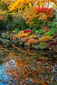 MORTON HALL, WORCESTERSHIRE: AUTUMN, FALL: STROLL GARDEN, LOWER POND, POOL, WATER, REFLECTED, REFLECTIONS, HAKONECHLOA MACRA, ACER PALMATUM SEIRYU, MAPLES, JAPANESE