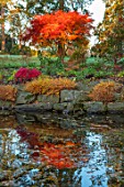 MORTON HALL, WORCESTERSHIRE: AUTUMN, FALL: STROLL GARDEN, LOWER POND, POOL, WATER, REFLECTED, REFLECTIONS, HAKONECHLOA MACRA, ACER PALMATUM SEIRYU, MAPLES, JAPANESE
