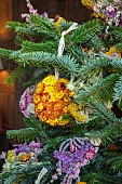 BADDESLEY CLINTON, WARWICKSHIRE: THE NATIONAL TRUST- CHRISTMAS, 15TH AND 16TH CENTURY MOATED MANOR HOUSE. CHRISTMAS TREE IN LIBRARY, DRIED FLOWER BAUBLES, DECORATION, BAUBLE