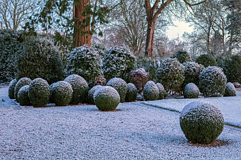 MORTON_HALL_WORCESTERSHIRE_WINTER__FROST_SNOW_CLIPPED_TOPIARY_BOX_BALLS_COLD_DECEMBER_ENGLISH_COUNTR