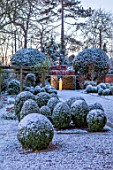 MORTON HALL, WORCESTERSHIRE: WINTER - FROST, SNOW, CLIPPED TOPIARY BOX BALLS, STATUE, NIGHT, HEDGES, HEDGING, MOONLIGHT, COLD, DECEMBER, LIGHTING, LIGHTS, ENGLISH, COUNTRY, GARDEN