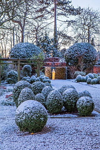MORTON_HALL_WORCESTERSHIRE_WINTER__FROST_SNOW_CLIPPED_TOPIARY_BOX_BALLS_STATUE_NIGHT_HEDGES_HEDGING_