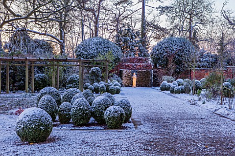MORTON_HALL_WORCESTERSHIRE_WINTER__FROST_SNOW_CLIPPED_TOPIARY_BOX_BALLS_STATUE_NIGHT_HEDGES_HEDGING_