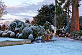 MORTON HALL, WORCESTERSHIRE: WINTER - FROST, SNOW, LAWN, ENGLISH, COUNTRY, GARDEN, COLD, DECEMBER, DAWN, SUNRISE, BOX, TOPIARY, CLIPPED, STATUE, STATUES, HEDGES, HEDGING