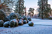 MORTON HALL, WORCESTERSHIRE: WINTER - FROST, SNOW, LAWN, ENGLISH, COUNTRY, GARDEN, COLD, DECEMBER, DAWN, SUNRISE, BOX, TOPIARY, CLIPPED, HEDGES, HEDGING, PARKLAND
