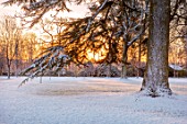MORTON HALL, WORCESTERSHIRE: WINTER - TREE, PARKLAND, LAWN, SUNRISE, FROST, SNOW, COLD, DECEMBER, ENGLISH, COUNTRY, GARDEN