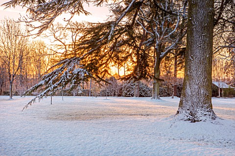 MORTON_HALL_WORCESTERSHIRE_WINTER__TREE_PARKLAND_LAWN_SUNRISE_FROST_SNOW_COLD_DECEMBER_ENGLISH_COUNT