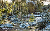 MORTON HALL, WORCESTERSHIRE: WINTER - PATH IN LOWER POND IN FROST, SNOW, FERNS, WATER, FOLIAGE, GREEN, WHITE, ENGLISH, COUNTRY, GARDEN, BIRCHES, BENCH, SEAT, SEATING, DECEMBER