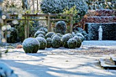 MORTON HALL, WORCESTERSHIRE: WINTER - FROST, SNOW, CLIPPED TOPIARY BOX BALLS, STATUE, NIGHT, MOONLIGHT, COLD, DECEMBER, LIGHTING, LIGHTS, ENGLISH, COUNTRY, GARDEN