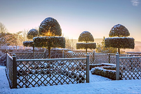 FELLEY_PRIORY_NOTTINGHAMSHIRE_WINTER__THE_WHITE_GARDEN_SNOW_FROST_CLIPPED_TOPIARY_SHAPES_OF_PHILLYRE