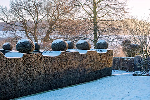 FELLEY_PRIORY_NOTTINGHAMSHIRE_WINTER__SNOW_CLIPPED_TOPIARY_YEW_HEDGES_HEDGING_SUNRISE_DAWN_DECEMBER_