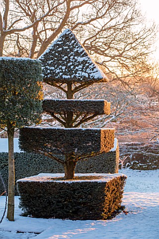 FELLEY_PRIORY_NOTTINGHAMSHIRE_WINTER__SNOW_CLIPPED_TOPIARY_YEW_SUNRISE_DAWN_DECEMBER_ENGLISH_COUNTRY