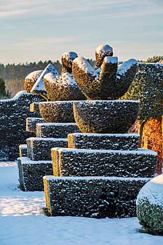 FELLEY_PRIORY_NOTTINGHAMSHIRE_WINTER__SNOW_CLIPPED_TOPIARY_YEW_PEACOCKS_SUNRISE_DAWN_DECEMBER_ENGLIS