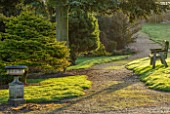 LIME CROSS NURSERY, EAST SUSSEX. WINTER, JANUARY, GRAVEL PATH PAST STONE CONTAINER ON PEDESTAL, WOODEN BENCH AND CONIFERS